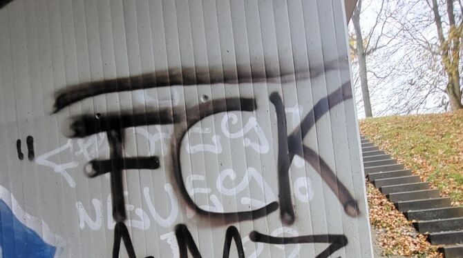 FCK AMZ In der Woche vor dem Bürgerentscheid wurde die Brücke zwischen Hengen und Grabenstetten - ganz in der Nähe des geplanten Standor