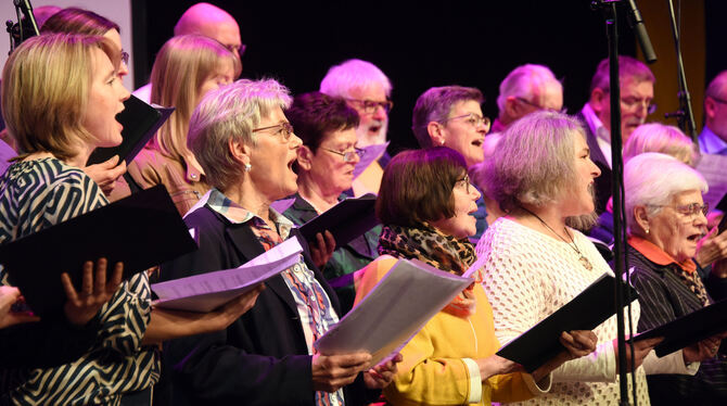 Jubiläum Der Jubiläumschor umrahmte zusammen mit den Sonnenbühler Posaunenbläsern den Festabend musikalisch.