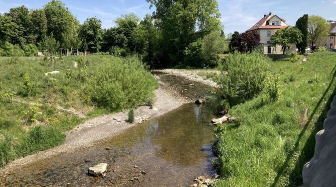 Entwicklungskonzept Echaz Nach der Renaturierung: Eine losgelöst dahinplätschernde Echaz, ökologisch wertvoll und mit attraktivem Umfeld noch dazu.