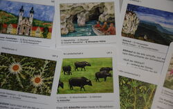 Ein liebevoll illustriertes Kartenspiel über die Alb hat Susanne Bächer hergestellt.