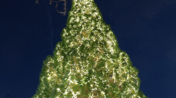 2025-12-02 Weihnachtsbaum,Schlösslesspark,Pfullingen Ein Prachtexemplar, 29 Meter hoch und behängt mit rund 30.00 Lämpchen: Der Mammutbaum im Pfullinger Schlösslespark leuchtet mom