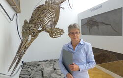 Anke Brucklacher hat schon Dinoknochen »tarifiert«, die in die Schweiz gingen – als »ausgestorbene Art und Teile davon«, mit ein