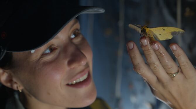 Hannah Emde steht nachts vor einer Insektenfalle im Regenwald Costa Ricas, sie schaut eine große Motte an, die auf ihrem Arm sit