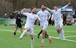 Christos Chatzimalousis (links) und seine Young-Boys-Teamkollegen haben auch im letzten Spiel des Jahres wieder was zu feiern.