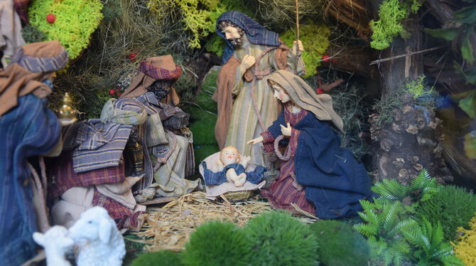 Krippenweg Eine üppig gestaltete Krippe ist in der Kirchentellinsfurter Apotheke zu sehen.