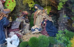 Eine üppig gestaltete Krippe ist in der Kirchentellinsfurter Apotheke zu sehen.