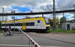 Auf der Ammertalbahn läuft es derzeit gut - trotzdem müssen nun einige Verbindungen gestrichen werden.