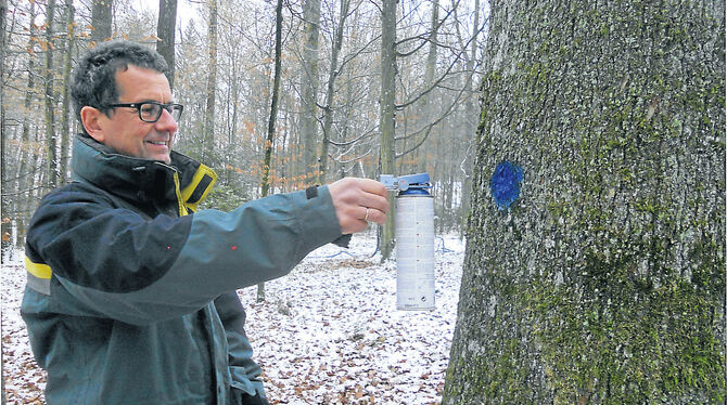 Baumbusch Georg Baumbusch ist für den Wannweiler Forst zuständig. Auf diesem Archivbild zeigt der Revierleiter, wie er mit einem blauen Pu