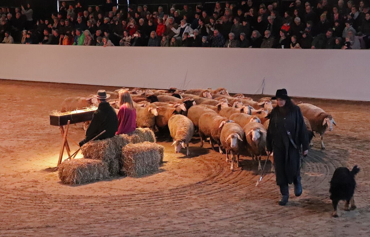 Lebendige Bilder der Weihnacht 077
