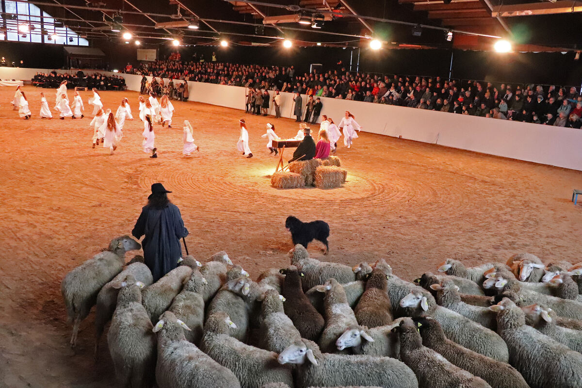 Lebendige Bilder der Weihnacht 092