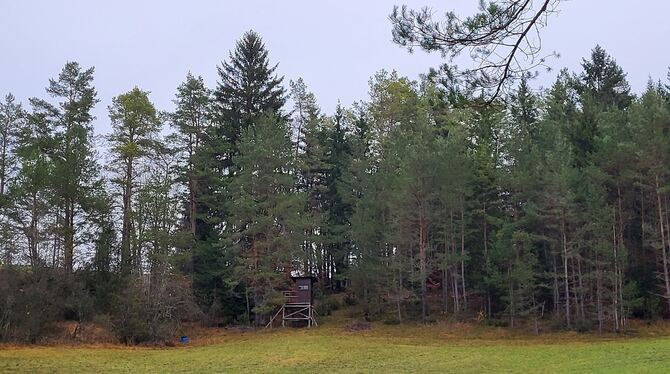Der Münsinger Wald hat viele Funktionen.
