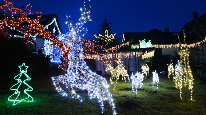 Im Garten von Thilo Schwaigers Weihnachtshaus in Rübgarten stehen diese beleuchteten Rentierfiguren und ganz in der Nähe ein Tan