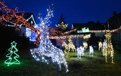 Im Garten von Thilo Schwaigers Weihnachtshaus in Rübgarten stehen diese beleuchteten Rentierfiguren und ganz in der Nähe ein Tan