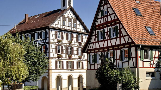 Geht es nach dem Rommelsbacher Ortschaftsrat soll das Bezirksamt barrierefrei gestaltet und sein Vorplatz dauerhaft von Unkraut