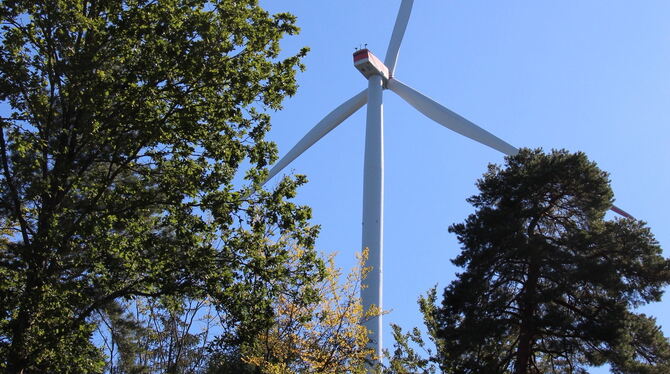 Windkraft Windräder im Wald: So könnte es bald oberhalb von Gomaringen, Nehren und Mössingen aussehen.