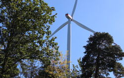 Windräder im Wald: So könnte es bald oberhalb von Gomaringen, Nehren und Mössingen aussehen.