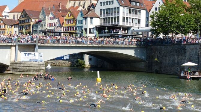 Mit der schönen Tübinger Neckarfront im Hintergrund starten am Sonntagmorgen an der Eberhardsbrücke die Triathleten im Neckar, a