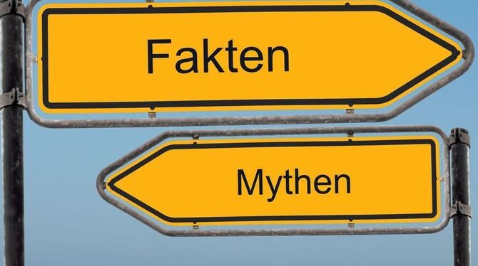 Vor allem in den sozialen Medien brodelt die Gerüchteküche.